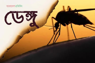 বরগুনায় ডেঙ্গুতে আক্রান্ত শিশুর মৃত্যু, নতুন আক্রান্ত ৪৬