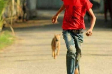 বাগেরহাটে কুকুরের কামড়ে দুই দিনে আহত ১৪