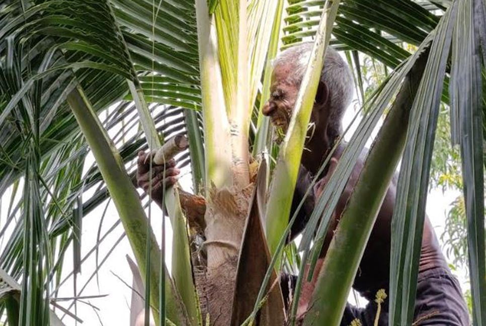 ঝুঁকিপূর্ণ কাজ করে জীবন চালাচ্ছেন দৃষ্টি প্রতিবন্ধী রমেশ