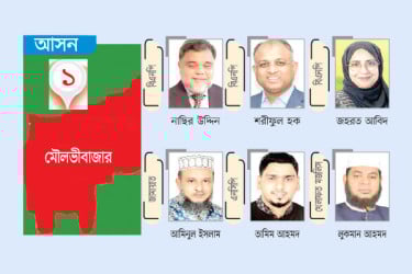 প্রবাসী নেতারাও চান বিএনপির মনোনয়ন