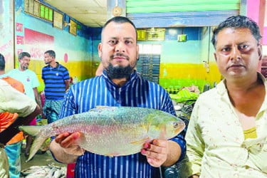 ৮০টি ইলিশের দাম ২ লাখ ১৩ হাজার টাকা