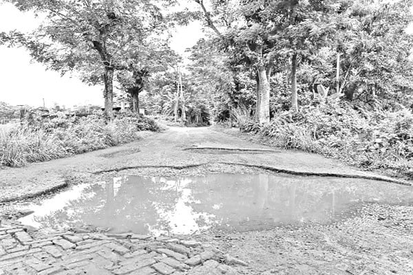 বেশির ভাগ সড়কই বেহাল