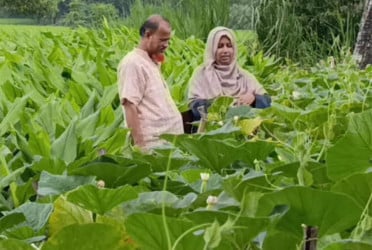 কুমিল্লায় সম্মাননায় খুশি কৃষির মাঠ কর্মকর্তারা