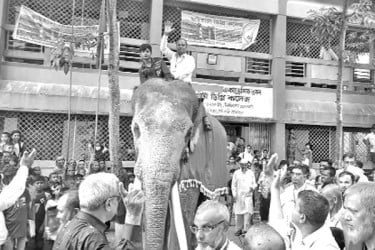 হাতির পিঠে চড়িয়ে বিদায় অধ্যক্ষকে