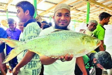 এক ইলিশের দাম ১৪ হাজার টাকা
