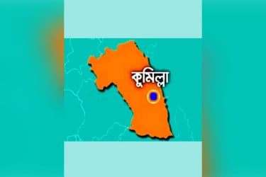 কুমিল্লায় পাগলা কুকুরের কামড়ে আহত অর্ধশত মানুষ
