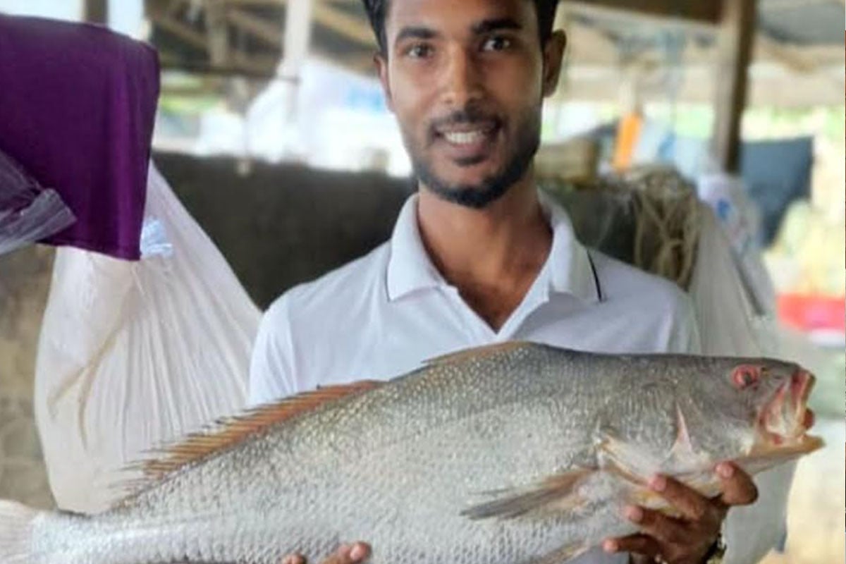 কুয়াকাটায় জেলের জালে ধরা পড়ল বিরল ‘কালো পোয়া’ মাছ