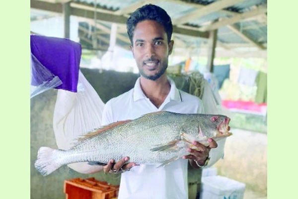 এক পোয়া মাছ ৮০ হাজার টাকায় বিক্রি