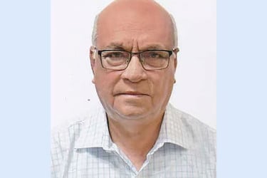 ঐক্যবদ্ধ নির্বাচন রোহিঙ্গাসংকট সমাধানে সহায়ক হবে