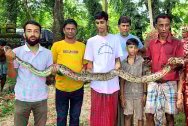 মাছ ধরার ফাঁদে ধরা পড়লো অজগর