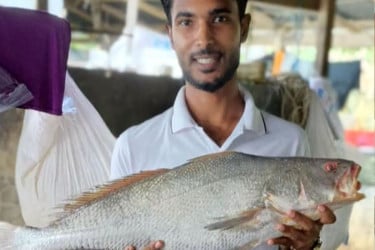 কুয়াকাটায় জেলের জালে ধরা পড়ল বিরল ‘কালো পোয়া’ মাছ
