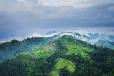 ফ্যাসিবাদের ইন্ধনে সন্ত্রাসীদের দ্বারা পাহাড়ে শান্তি বিনষ্টের চেষ্টা