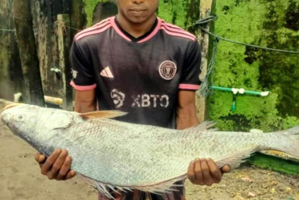 সেন্টমার্টিনে ১৮ কেজির পোপা মাছ ৯৫ হাজারে বিক্রি