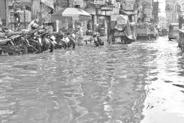 আধা ঘণ্টার বৃষ্টিতে ডুবল ফেনী শহর