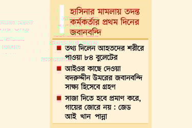 ১৭ ভিডিওতে নৃশংসতার চিত্র