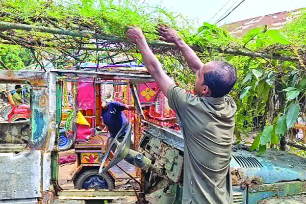 পরিত্যক্ত গাড়ি ফুলের মাচা!