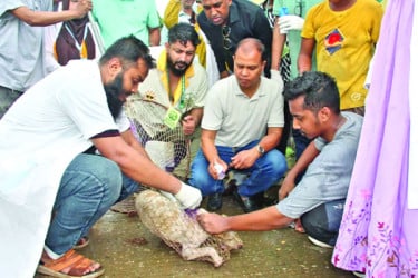বিশ্ব জলাতঙ্ক দিবস পালিত