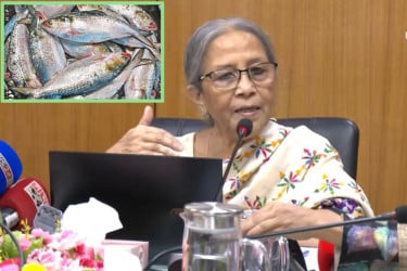 ইলিশের দাম কমাতে না পারায় মৎস্য উপদেষ্টার দুঃখ প্রকাশ