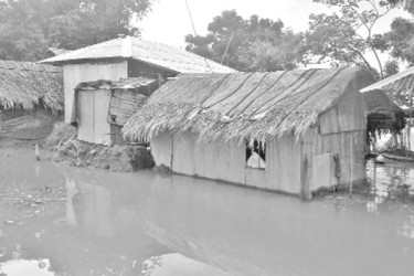 জোয়ারের পানিতে প্লাবিত গ্রাম