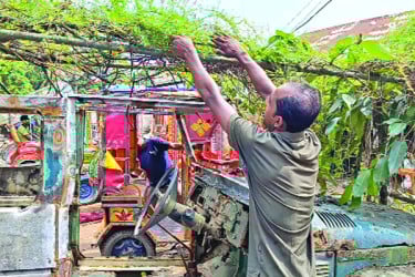পরিত্যক্ত গাড়ি ফুলের মাচা!