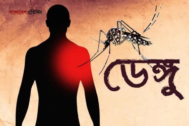 বরগুনায় ডেঙ্গুতে আরও ২ জনের মৃত্যু, ৯ মাসে আক্রান্ত ৭৪৭১