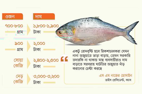 ইলিশের দাম কেন লাগামহীন