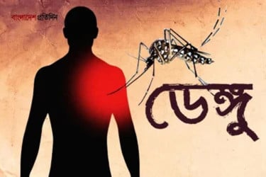 এ বছর ডেঙ্গুতে ২০০ জনের মৃত্যু