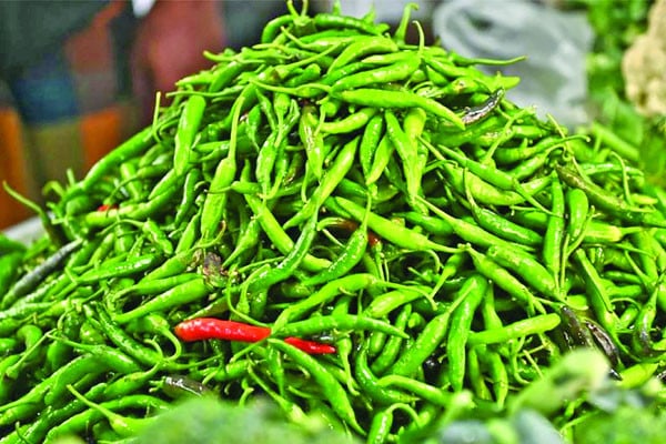 মরিচের কেজি ৩০০ ছাড়াল