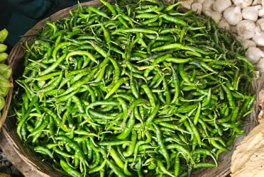 ঝিনাইদহে কাঁচা মরিচের কেজি ৩৫০ টাকা