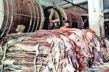 চামড়াশিল্পের হাল ধরছে বেপজা