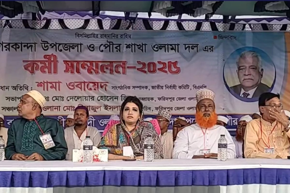 বিএনপি ক্ষমতায় গেলে রোহিঙ্গা সমস্যার সমাধান হবে : শামা ওবায়েদ