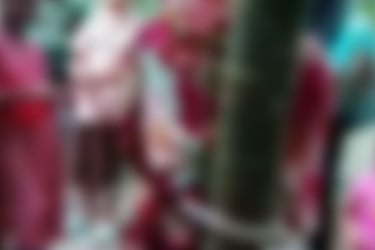 রংপুরে গাছের সঙ্গে বেঁধে গৃহবধূকে নির্যাতন