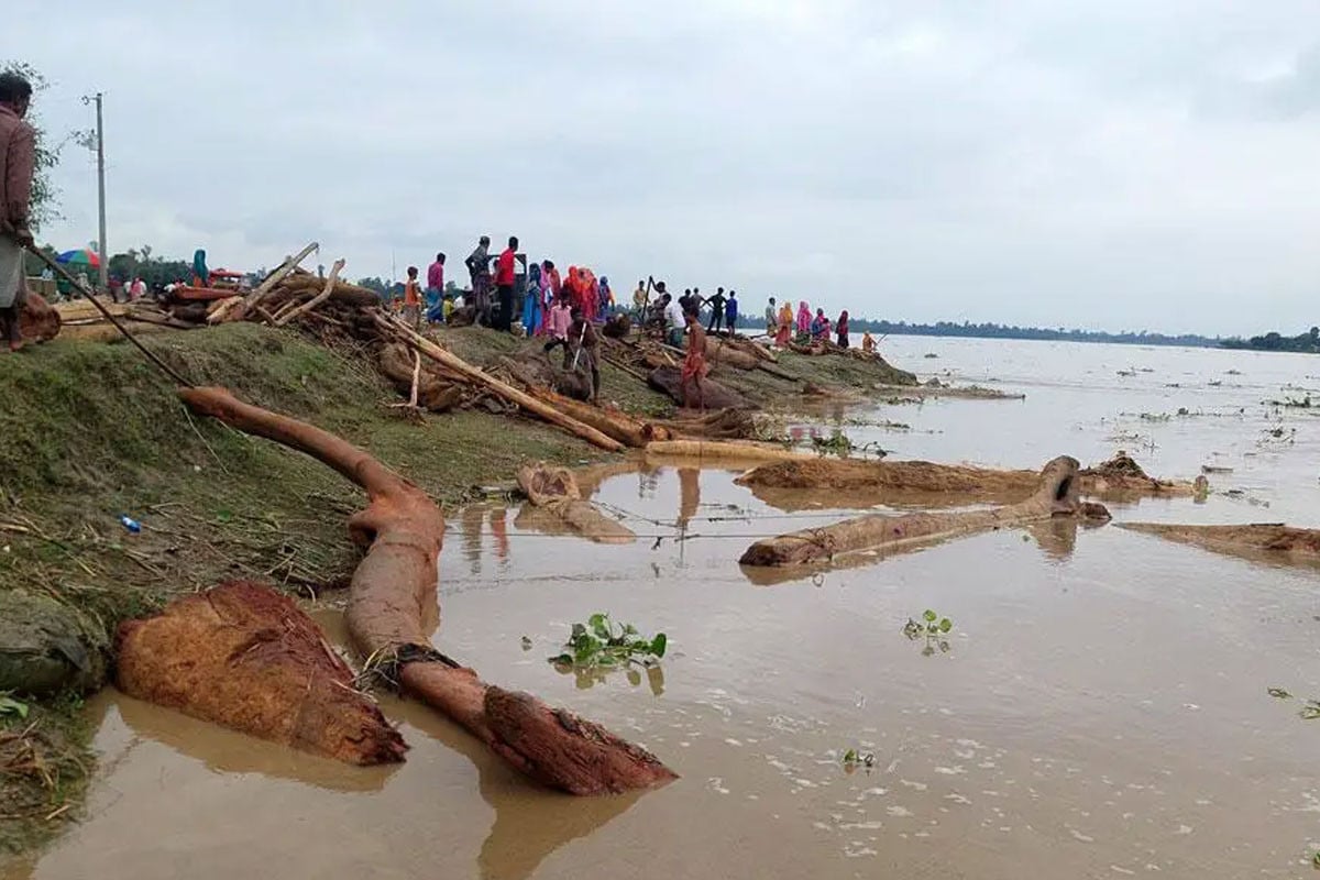 কুড়িগ্রামে ভেসে আসা গাছের গুড়ি তুলতে গিয়ে নিখোঁজ ১