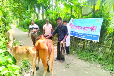 রংপুরে আতঙ্ক ছড়াচ্ছে অ্যানথ্রাক্স