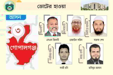 বিএনপি-জামায়াতসহ সব দলের একক প্রার্থীর চমক