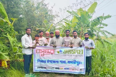 শিবচরে বজ্রপাত রোধে বসুন্ধরা শুভসংঘের তালবীজ বপন কর্মসূচি