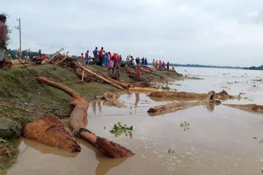 কুড়িগ্রামে ভেসে আসা গাছের গুড়ি তুলতে গিয়ে নিখোঁজ ১