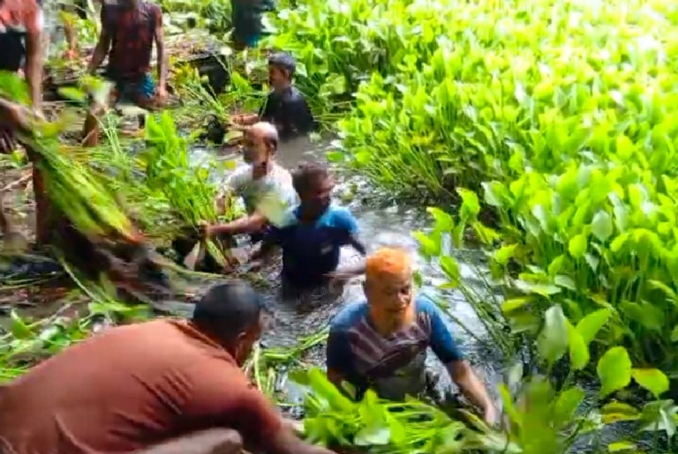 মোংলায় জলাশয়ের কচুরিপানা পরিষ্কার করলেন বিএনপি নেতাকর্মীরা