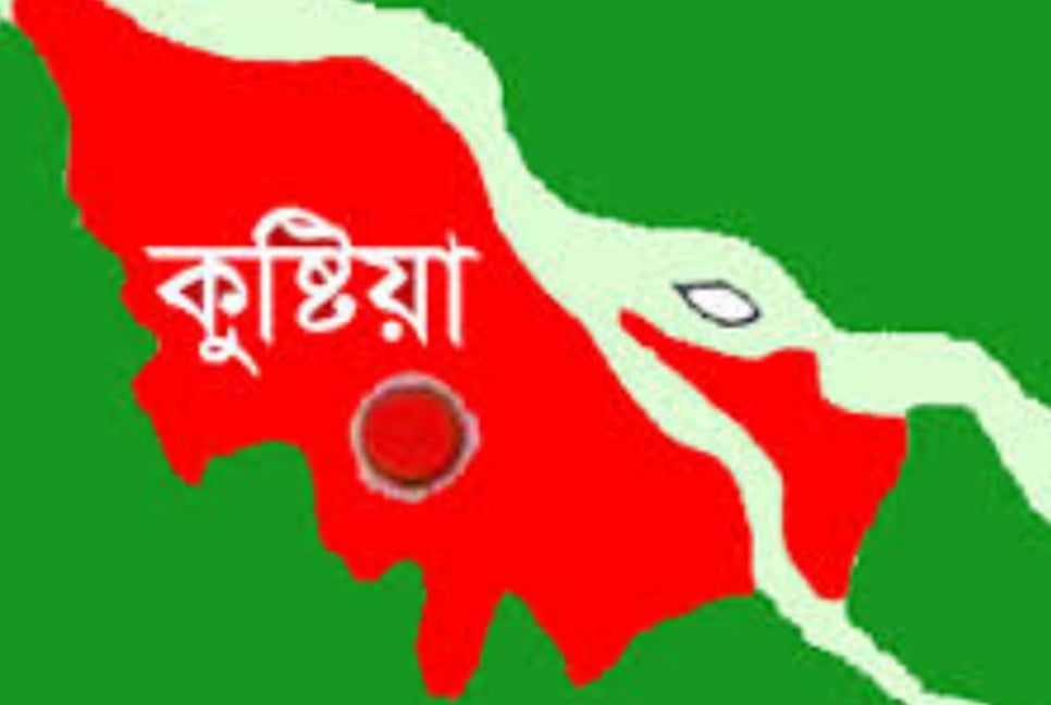 পদ্মায় নৌকাডুবি, বিজিবির তৎপরতায় সকল আরোহী উদ্ধার