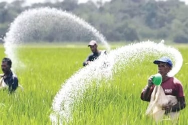 ২ লাখ ৩০ হাজার মেট্রিক টন সার আমদানি করবে সরকার