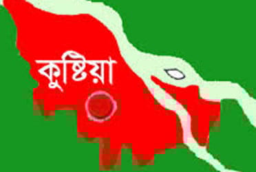 পদ্মায় নৌকাডুবি, বিজিবির তৎপরতায় সকল আরোহী উদ্ধার