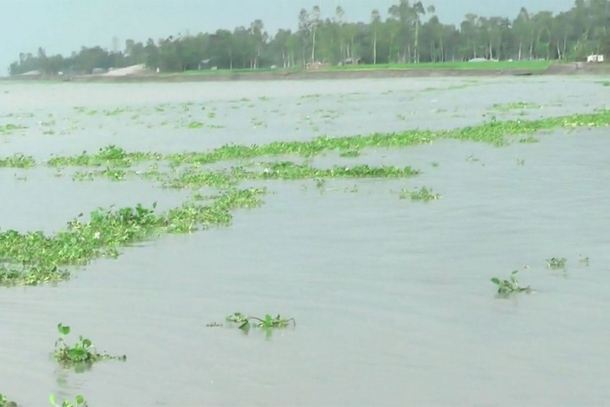 কুড়িগ্রামে নদীর পানি কমলেও বন্যা পরিস্থিতি অপরিবর্তিত