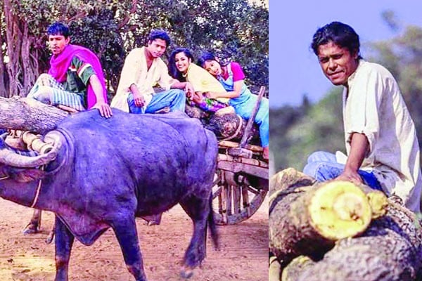 মহিষ গেল ঘাবড়ে, দিল দৌড়...