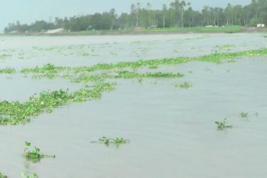 কুড়িগ্রামে নদীর পানি কমলেও বন্যা পরিস্থিতি অপরিবর্তিত