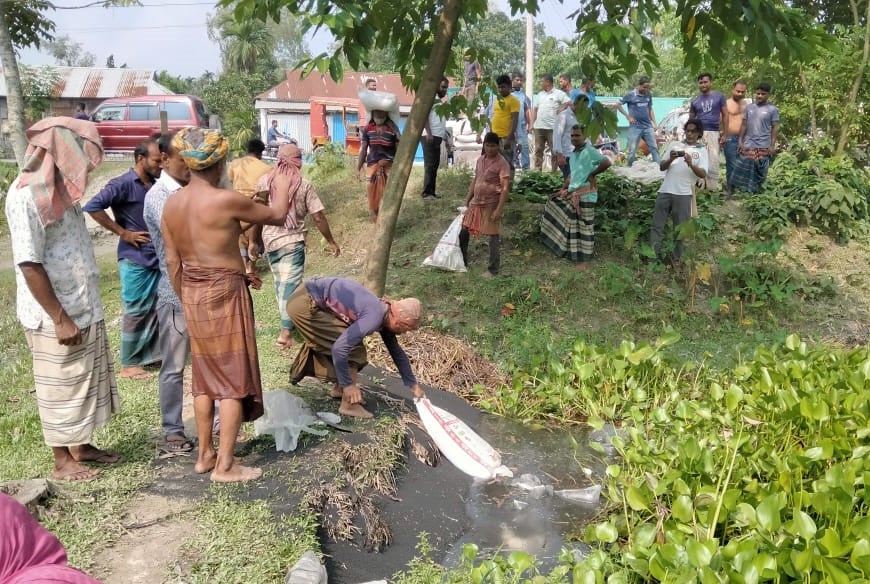 ভূরুঙ্গামারীতে ভেজাল সার ধ্বংস করল কৃষি বিভাগ