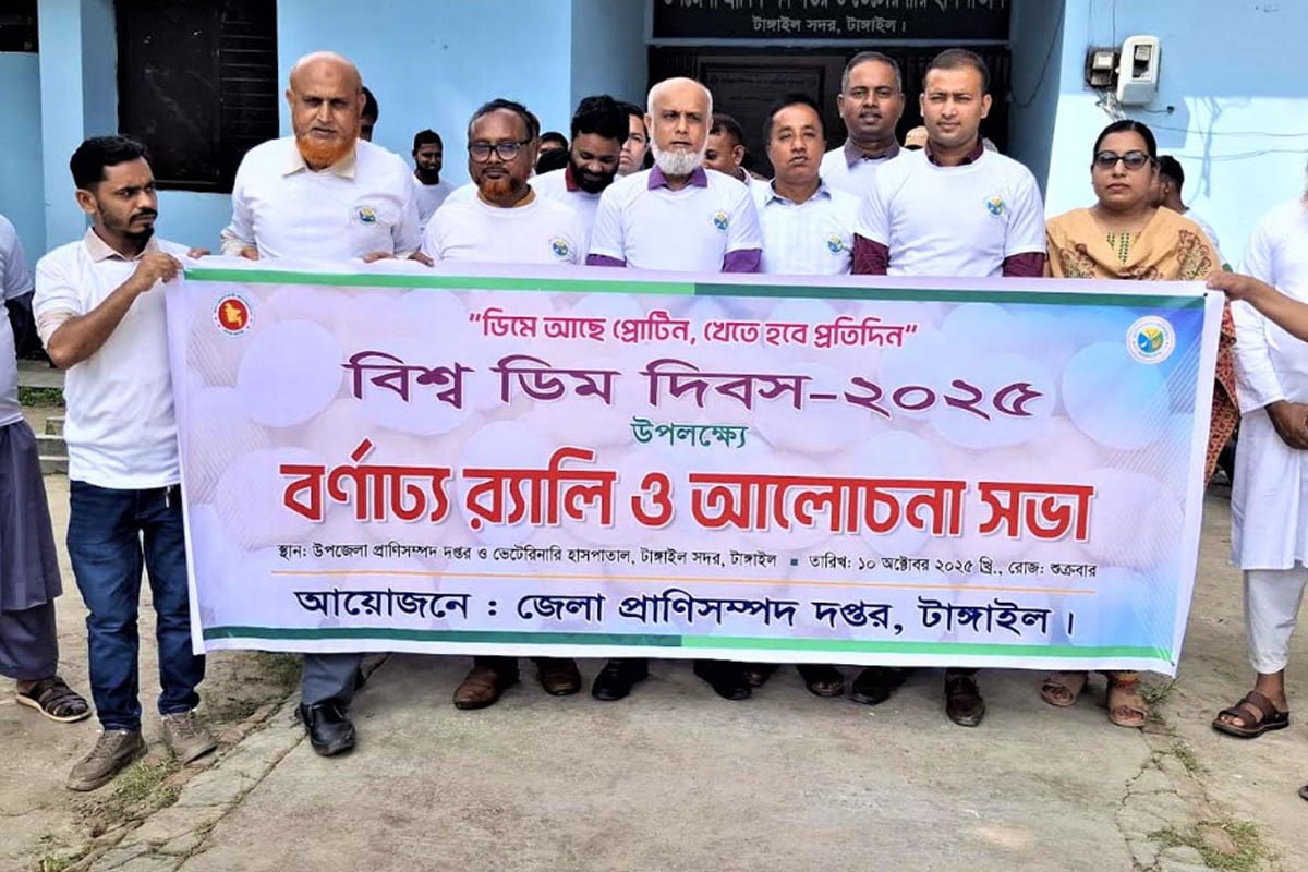 টাঙ্গাইলে নানা আয়োজনে বিশ্ব ডিম দিবস উদযাপন