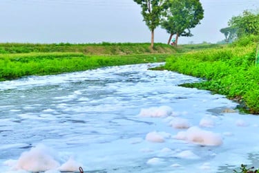 শহরের বর্জ্যে বিষাক্ত বারনই নদী