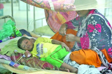 ডেঙ্গুর ভয়াবহতা
