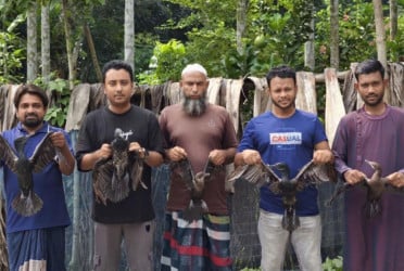 মুক্ত আকাশে ফিরলো পানকৌড়ি