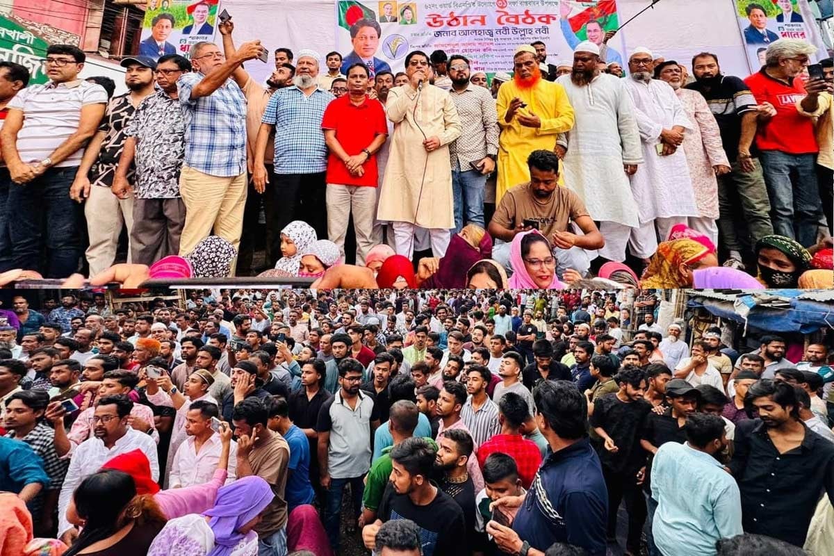 মানুষের ভোটের অধিকার ফিরিয়ে দিতে বিএনপি অঙ্গীকারবদ্ধ : নবীউল্লাহ নবী